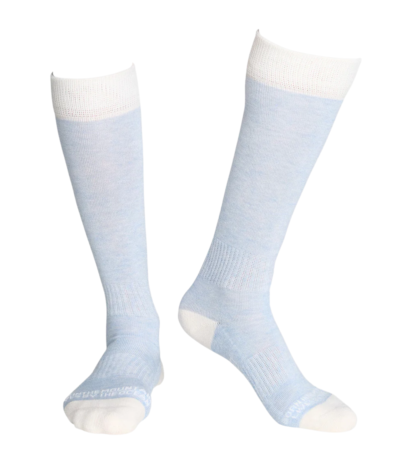 Fire Fox Sock