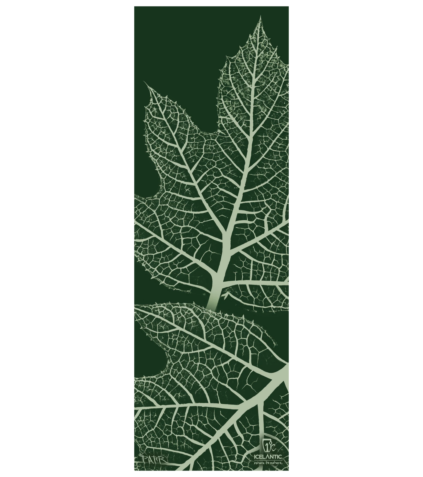 Icelantic Natural 101 Ski Only 2025