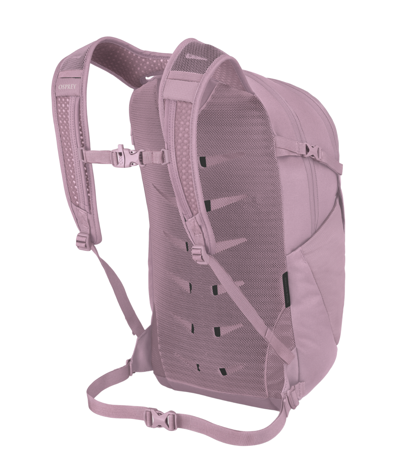 Daylite Plus Backpack