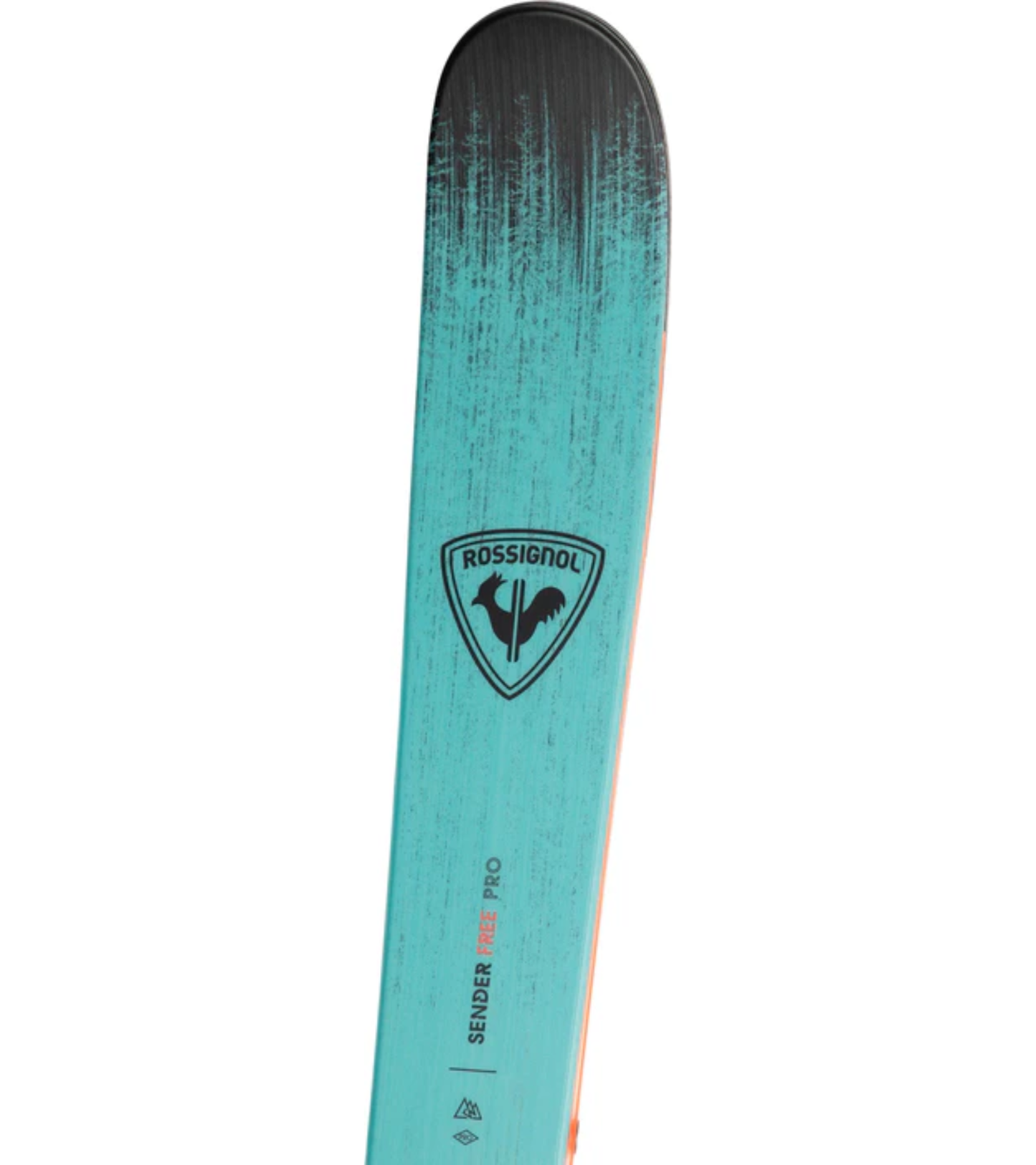 Sender Free Pro Ski + XP 10 Binding 2027