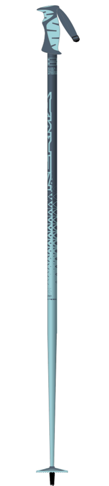 Vector Ski Poles