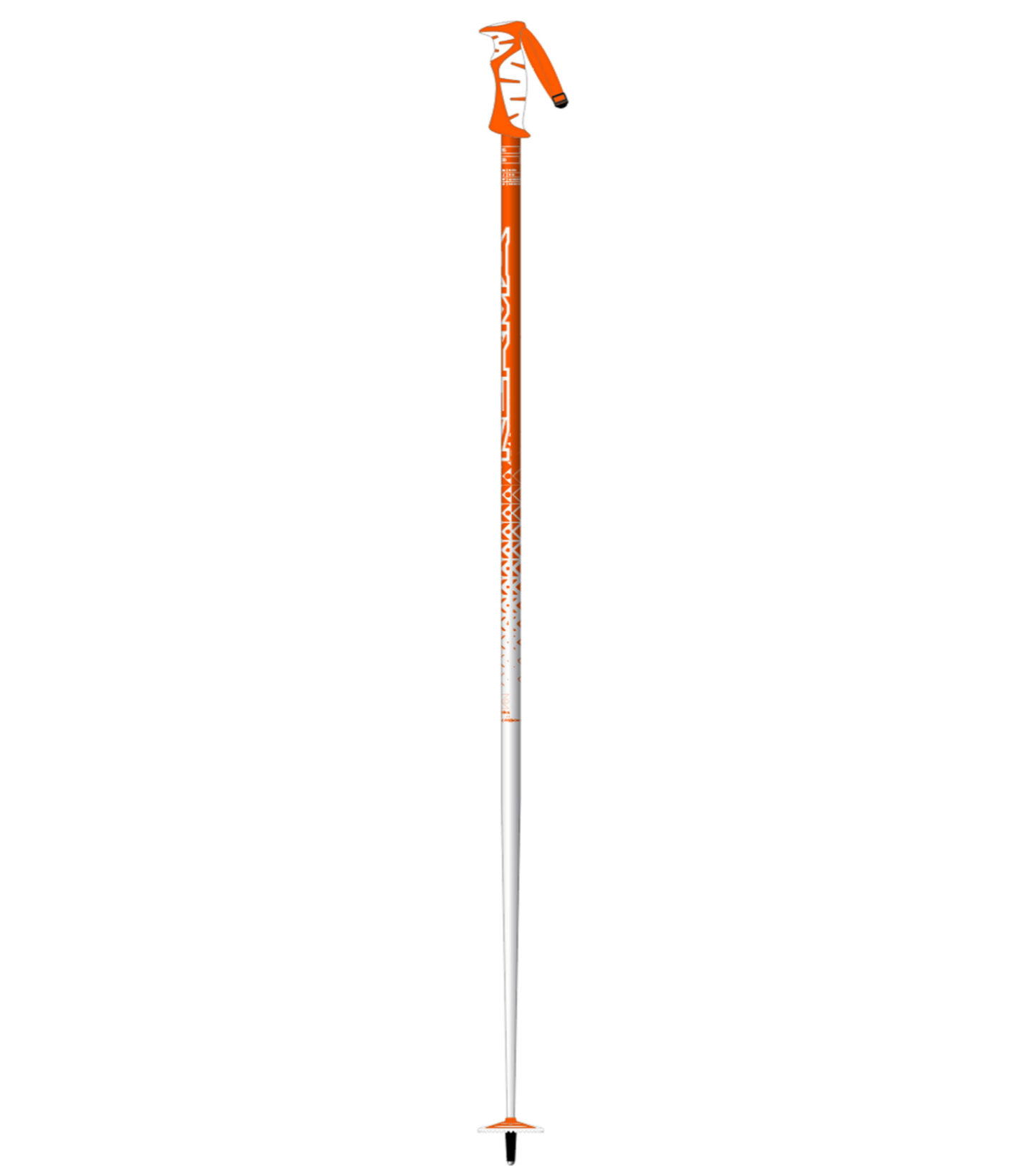 Vector Ski Poles