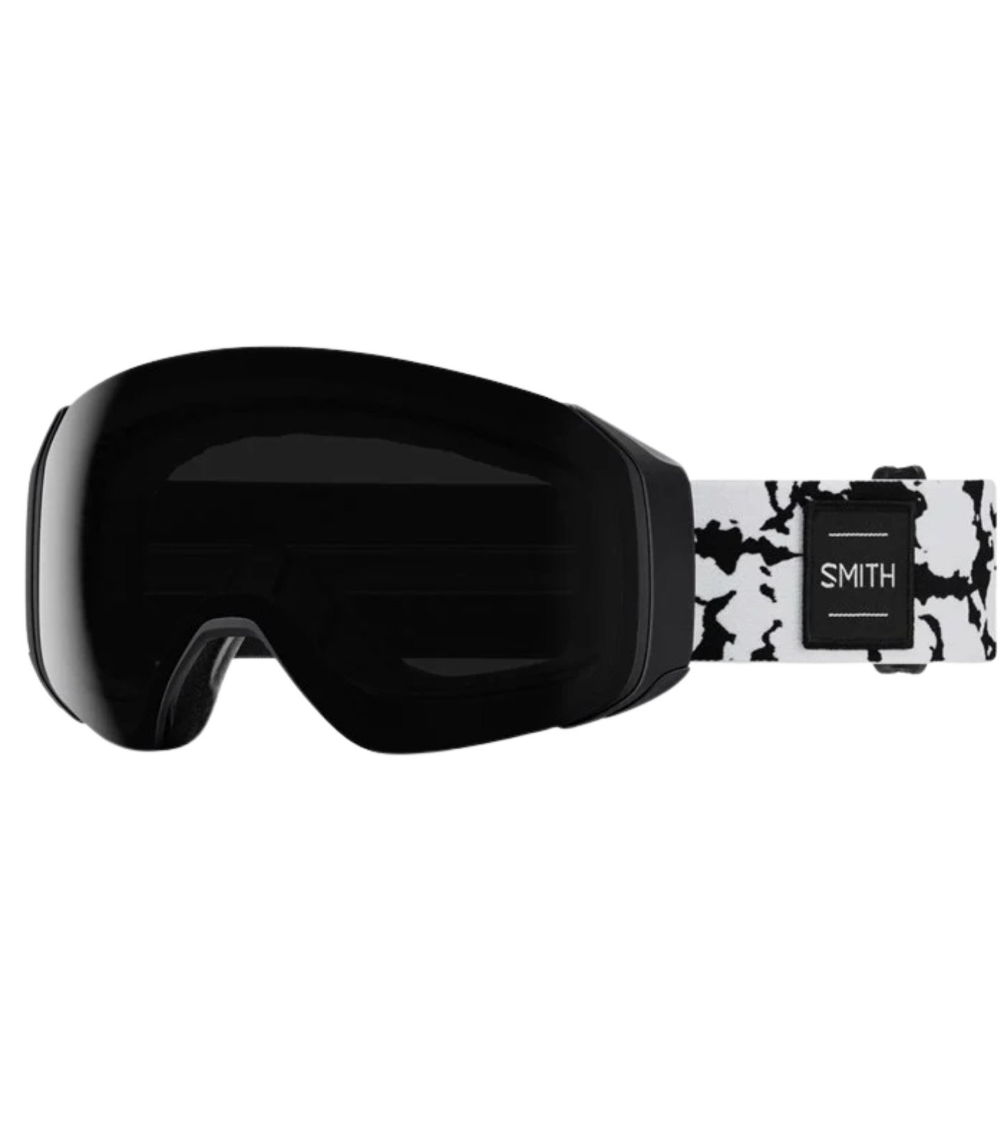 4D MAG S Goggle