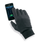 Dakine Titan Gortex Mitt