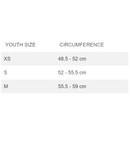 Giro Spur Jr MIPS Helmet