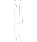 Icelantic Natural 101 Ski Only 2025