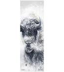 Icelantic Nomad 112 Ski Only 2026