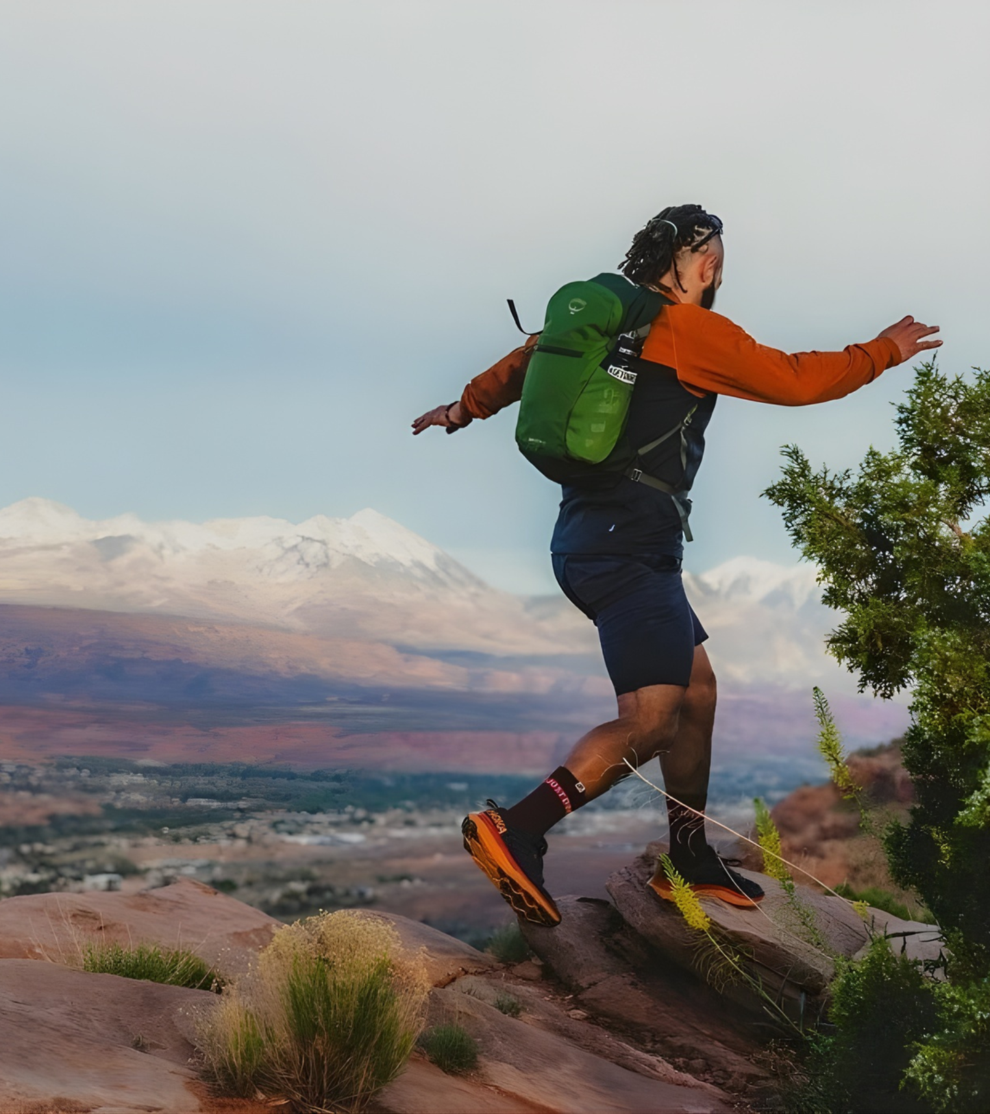 Daylite Plus Backpack