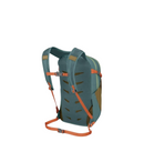 Osprey Daylight Plus Earth Backpack