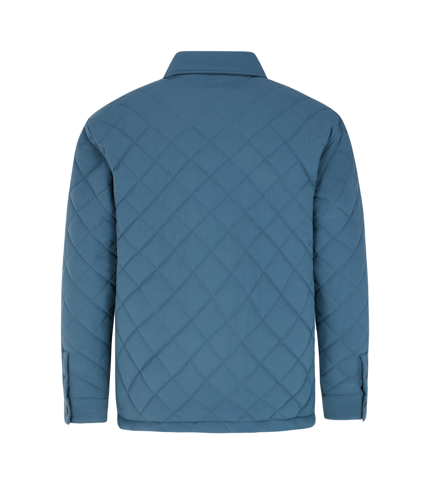 Protest Dryden Jacket