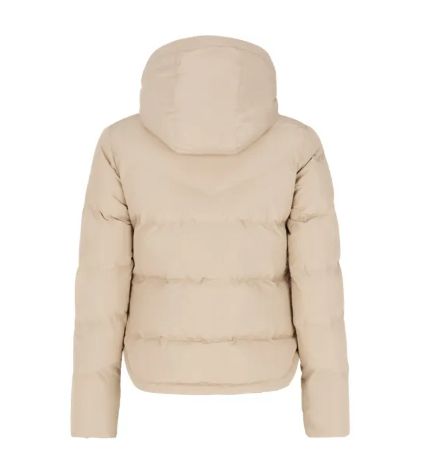 Lucid Jacket