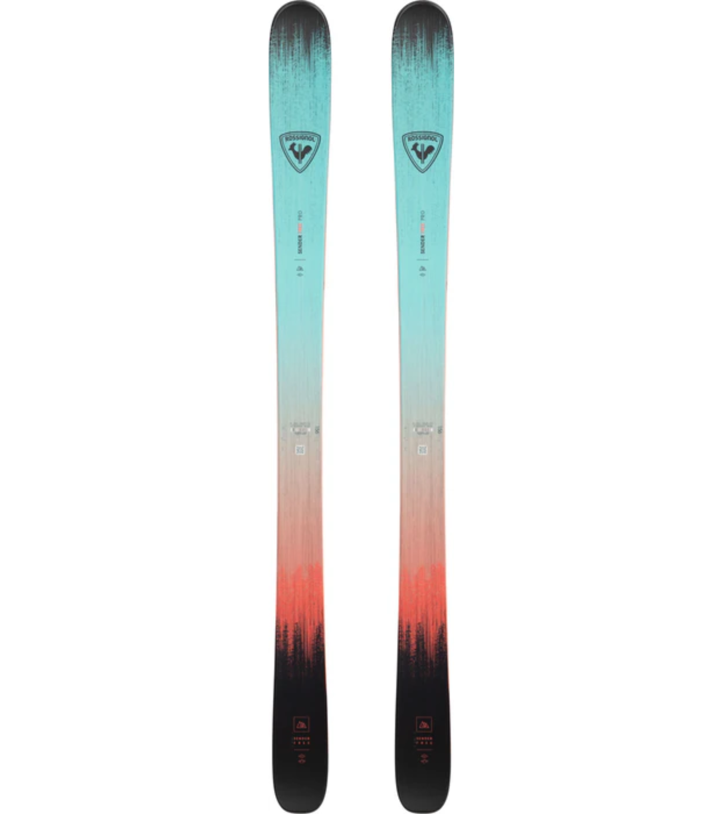 Sender Free Pro Ski + XP 10 Binding 2027