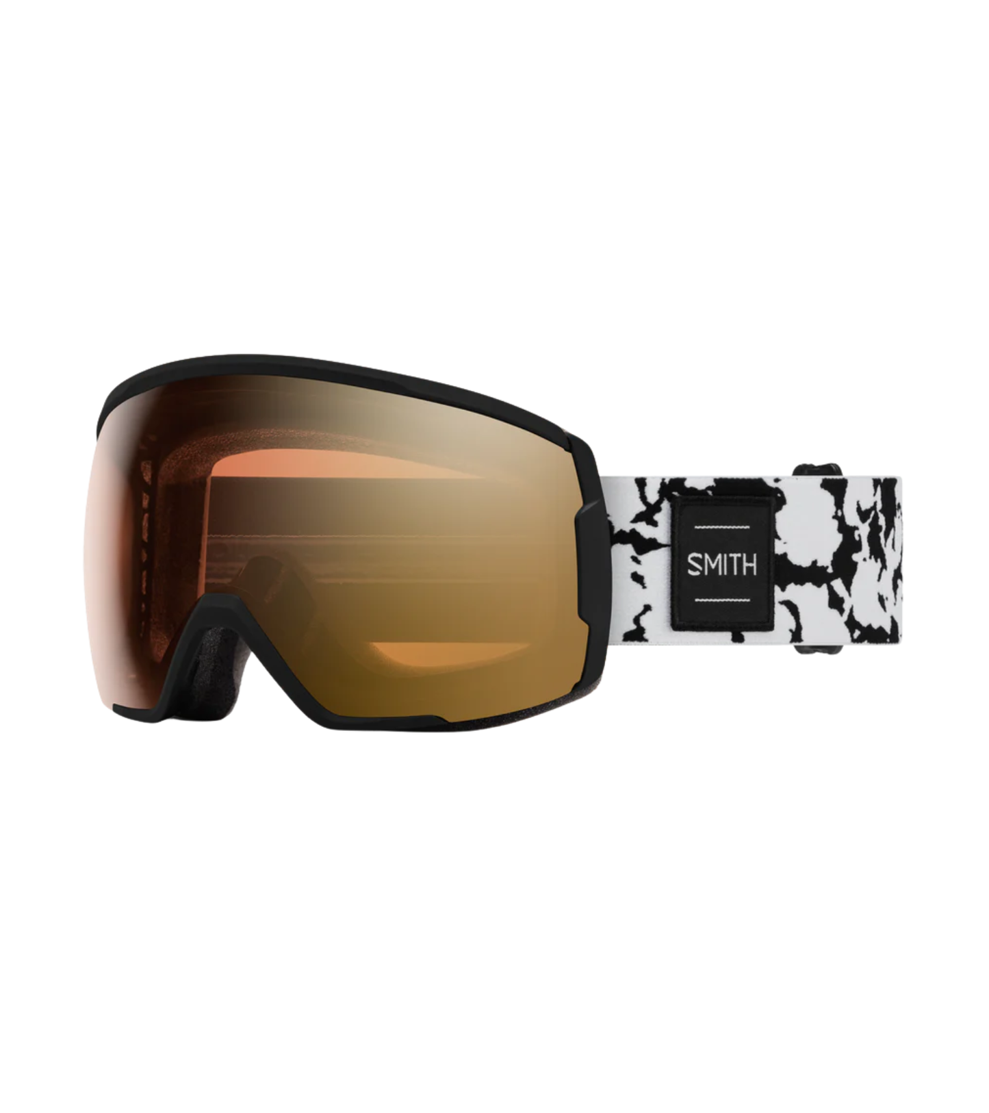 Proxy Goggles