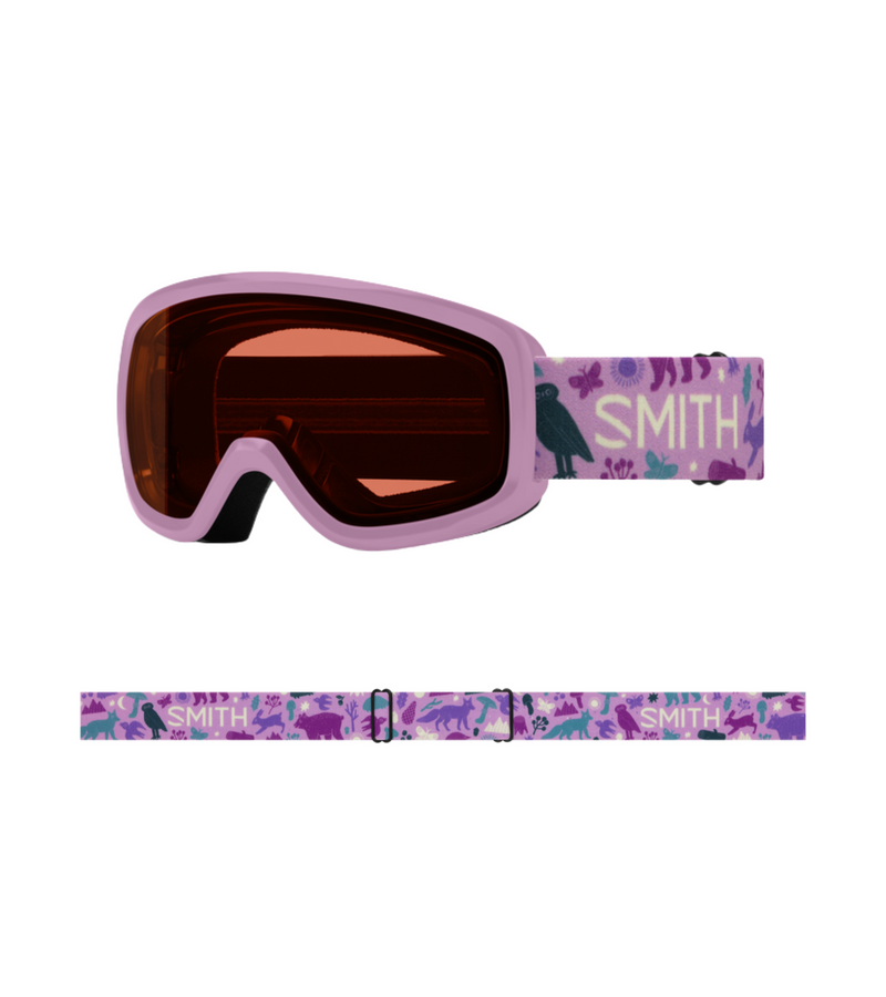 Smith Snowday Goggle