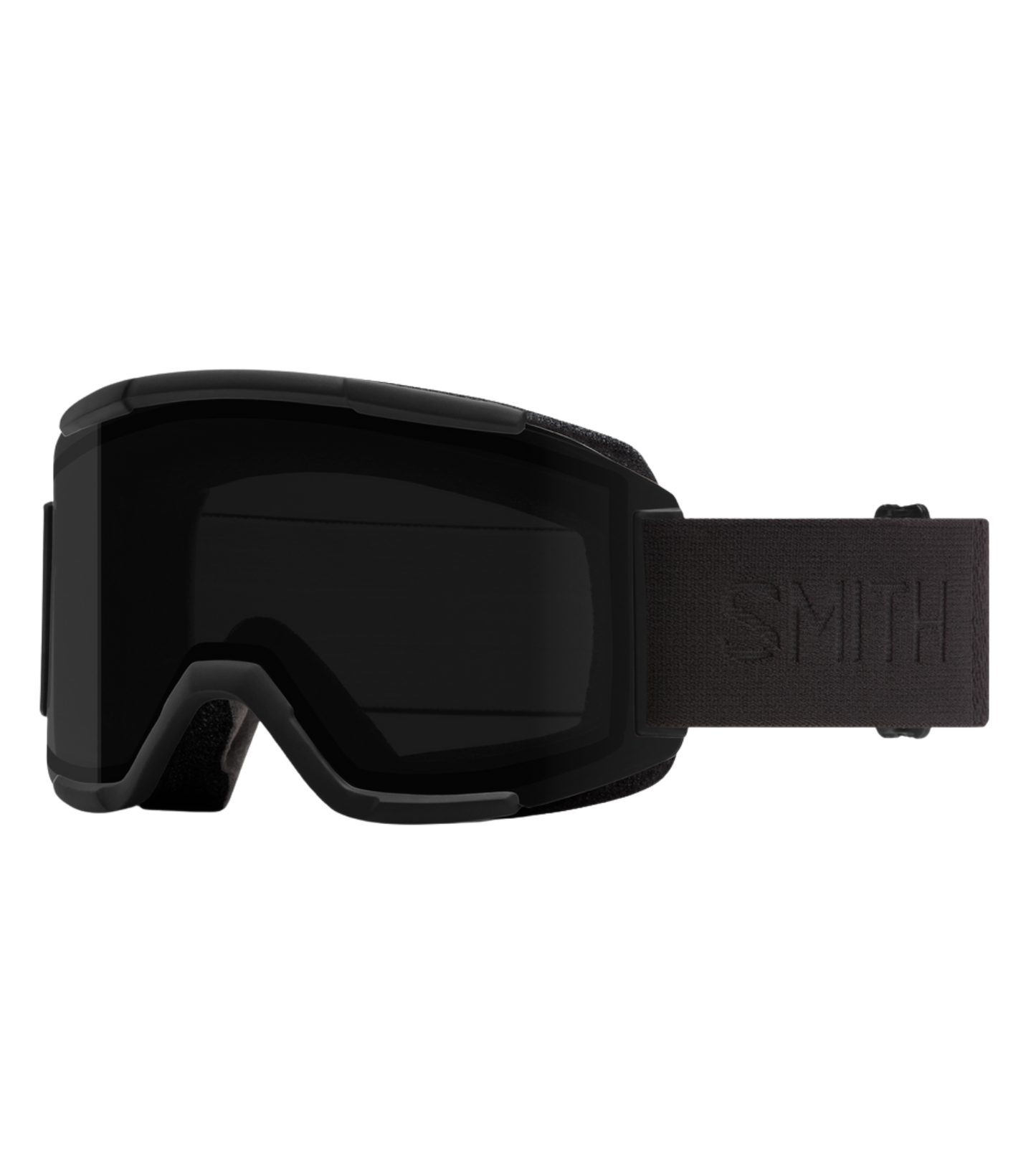 Smith Squad Goggle