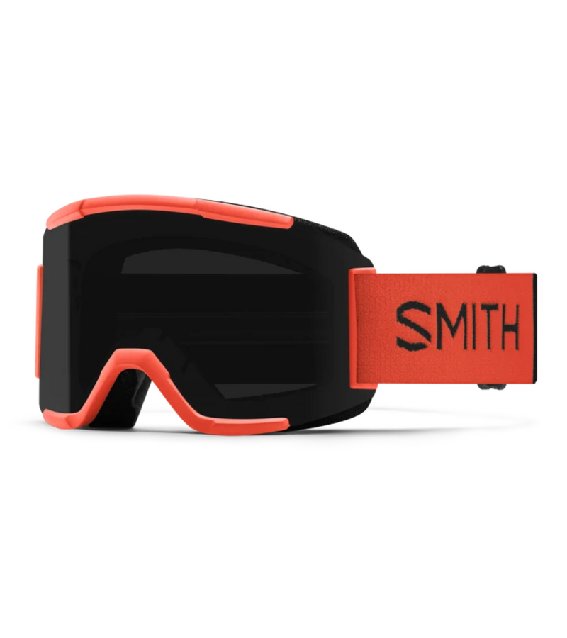 Smith Squad Goggle