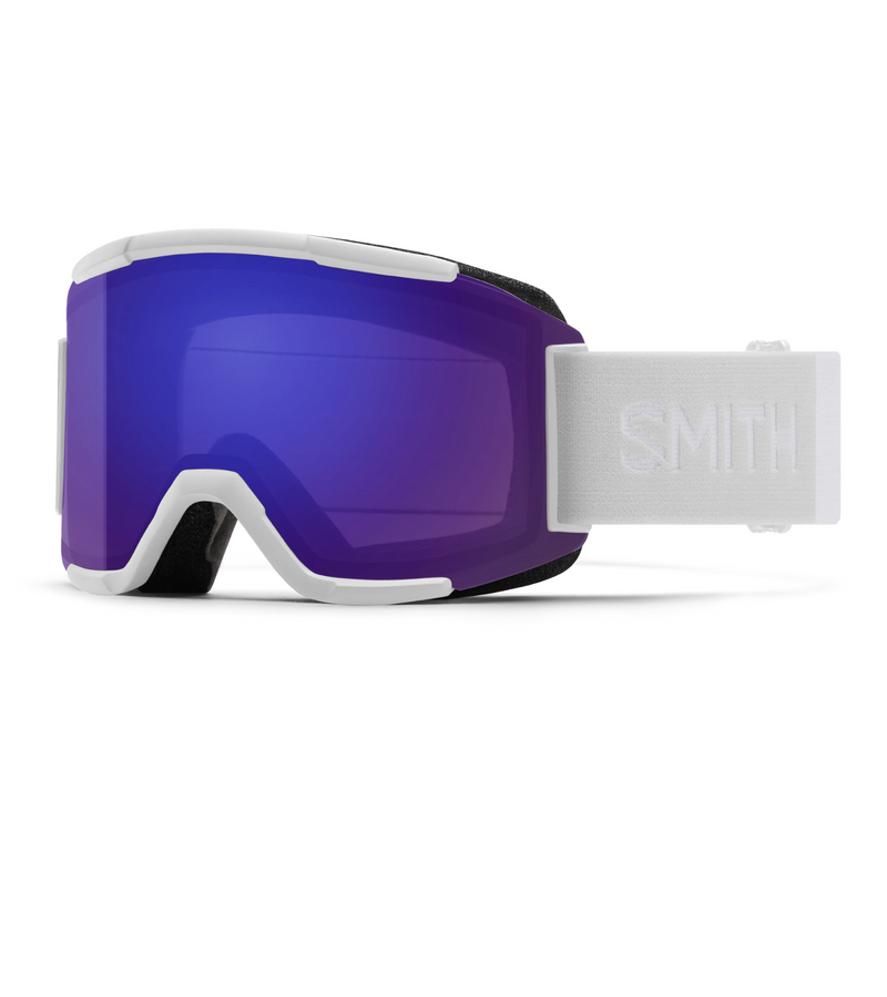 Smith Squad Goggle