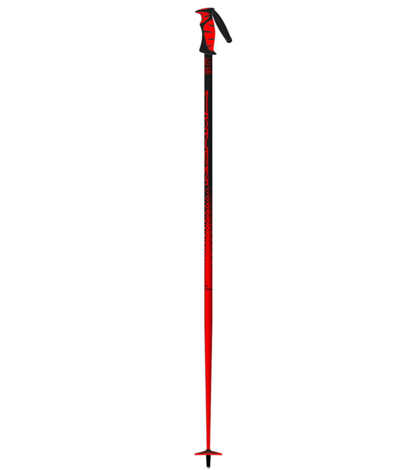 Vector Ski Poles