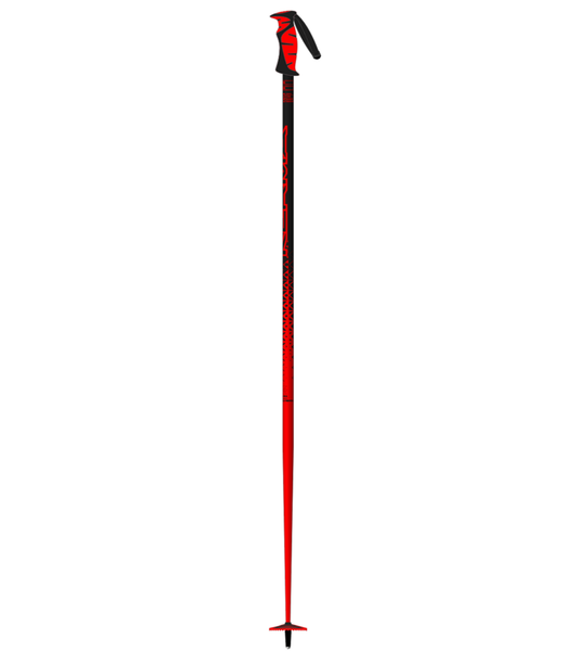 Vector Ski Poles