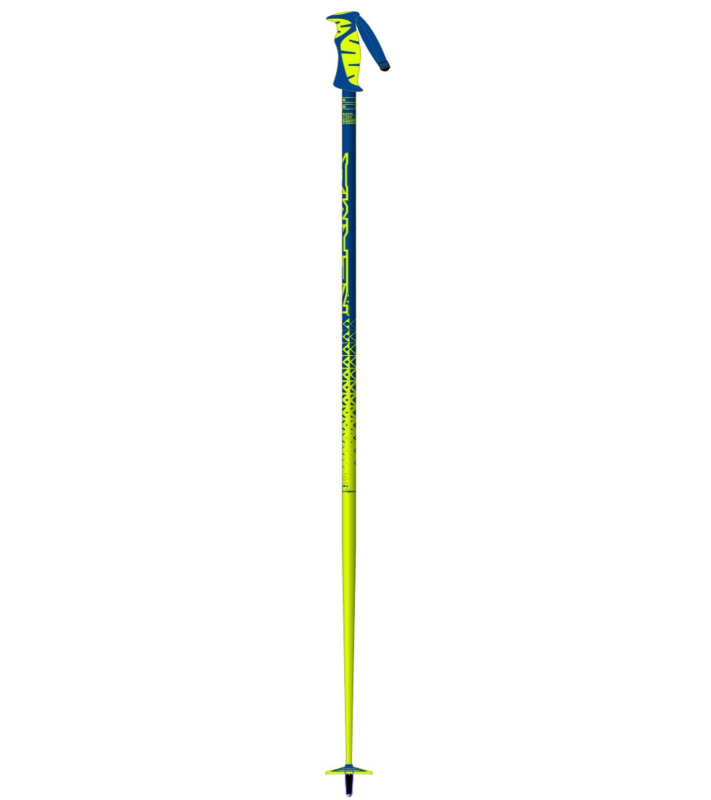 Vector Ski Poles