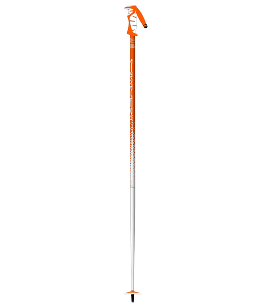 Vector Ski Poles