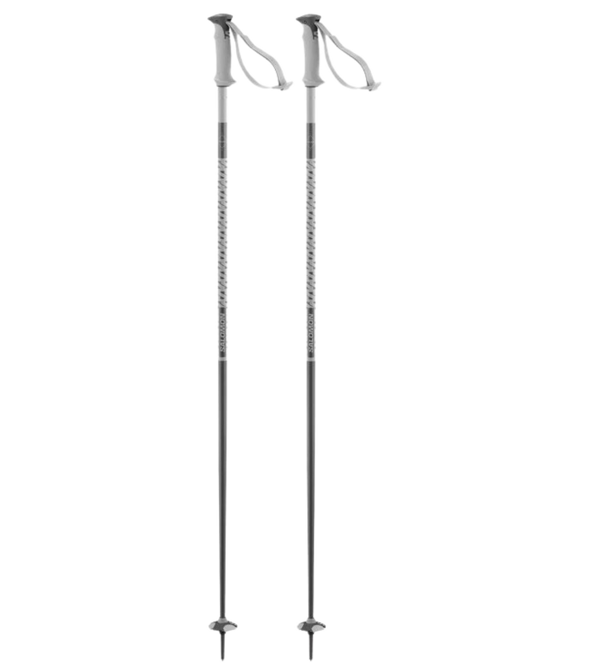 Polar Ski Poles